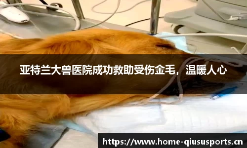 球速体育平台
